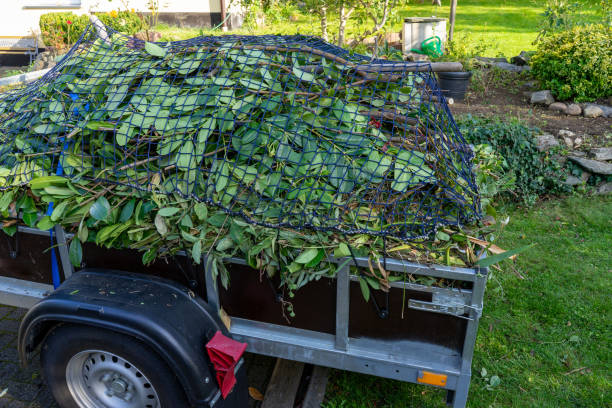 Best Shed Removal  in Killeen, TX